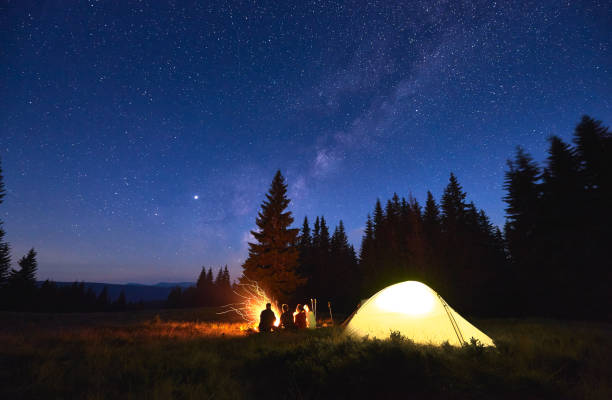 istock Tourists sitting near campfire under starry sky. 1213691454