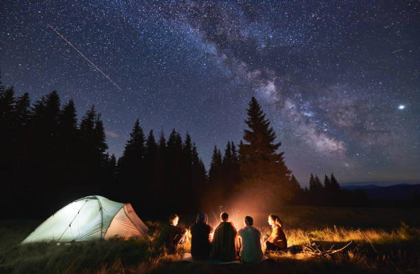 turisti seduti intorno al falò nella foresta notturna. - friendship camping night campfire foto e immagini stock