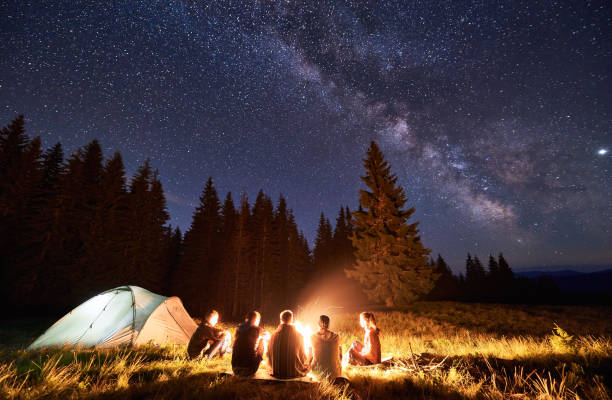 istock Tourists sitting around bonfire in night forest. 1213691529