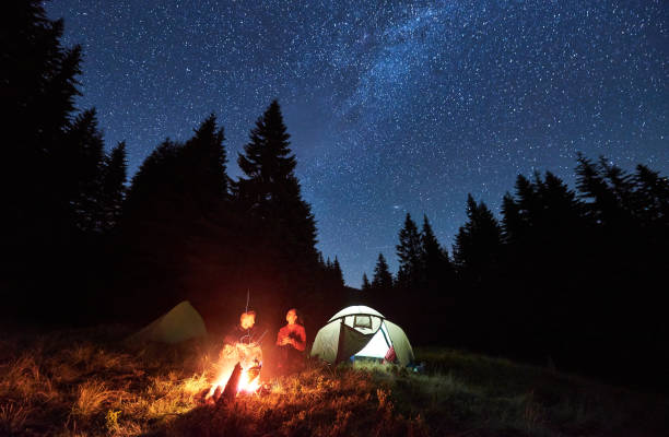 istock Couple enjoying starry night sky near campfire. 1213691591