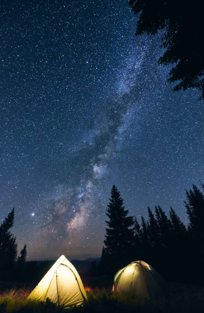 istock Bright campfire and tents in night forest. 1213691645