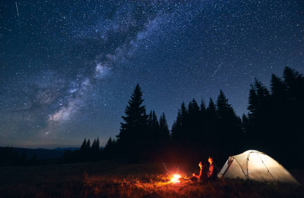 istock Couple enjoying starry night sky near campfire. 1213691656