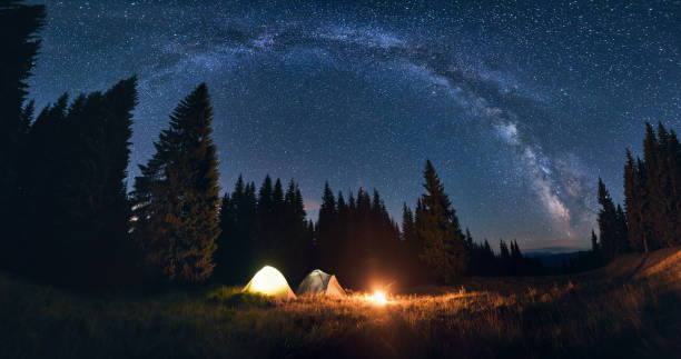 istock Night camping in valley with large pine trees. Burning bonfire and tents under bright starry sky on which the Milky Way 1213691678