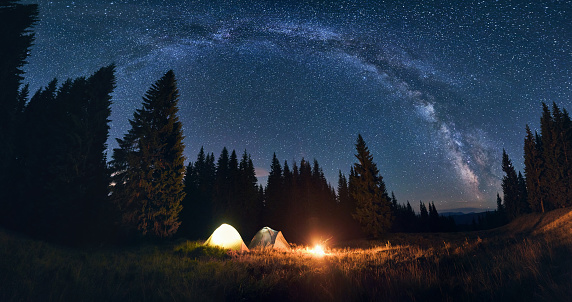 Night camping in valley with large pine trees. Burning bonfire and tents under bright starry sky on which the Milky Way