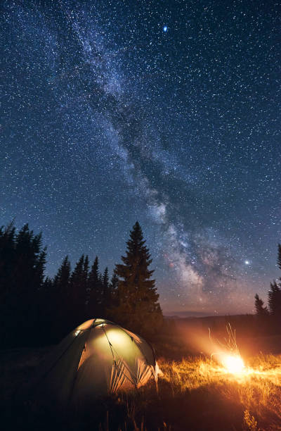 istock Bright campfire and tent in night forest. 1213691687