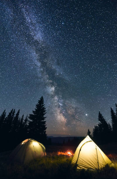 istock Bright campfire and tents in night forest. 1213691690