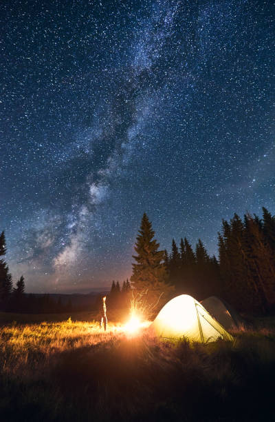 istock Tourist standing near campfire in night forest. 1213691709