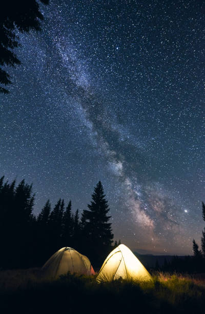 istock Bright campfire and tents in night forest. 1213691786