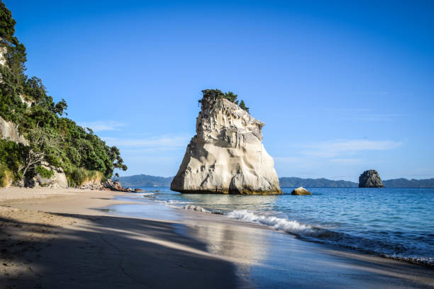 istock New Zealand 1213693207