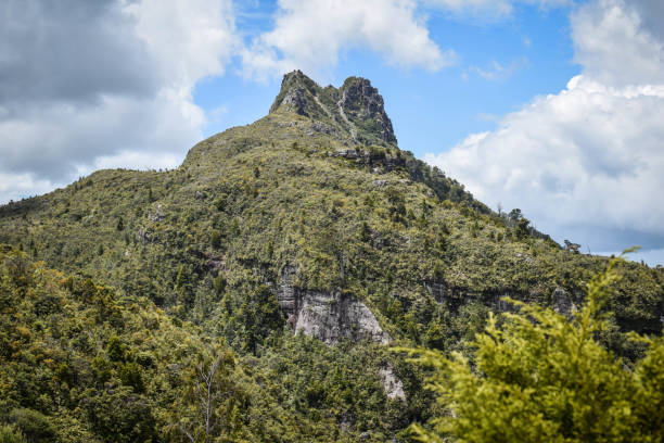 istock New Zealand 1213693208