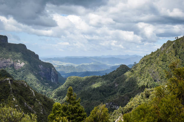 istock New Zealand 1213693352