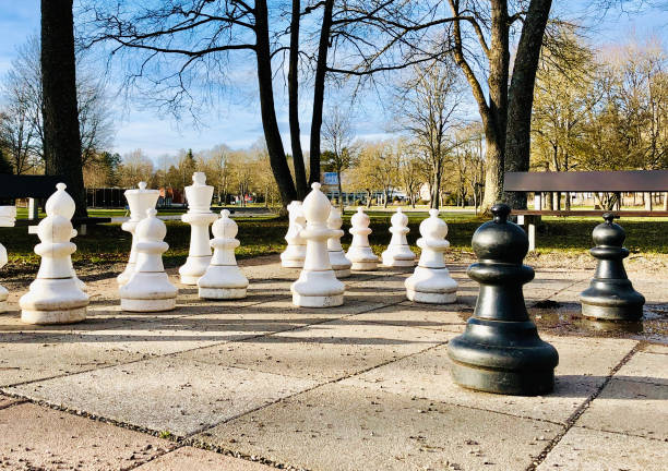 istock Chess game outdoors 1213695482
