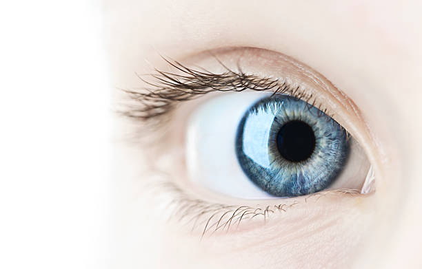 A very closeup look of a lady's eye Female blue eye looking at camera close up iris eye stock pictures, royalty-free photos & images