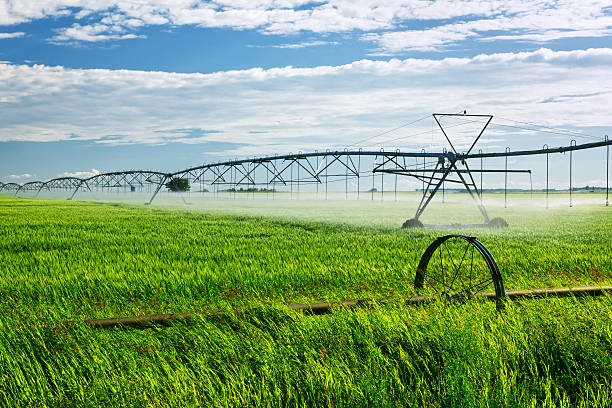 istock Irrigation equipment on farm field 121369786