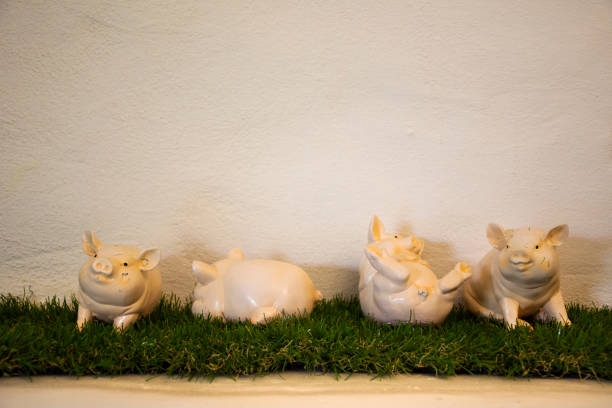 Four piggy dolls playing on plastic grass decoration in room of resort in Bangkok, Thailand