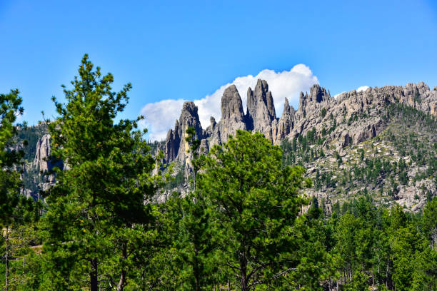 istock The Pinnacles in the Black Hills 1213698617