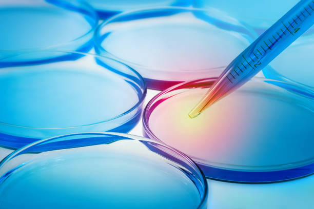 istock petri dishes and pipette 1213698794