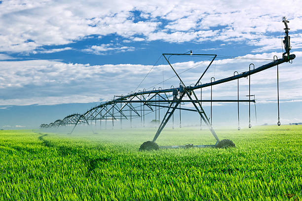 equipamento de irrigação no campo de fazenda - equipamento de irrigação - fotografias e filmes do acervo