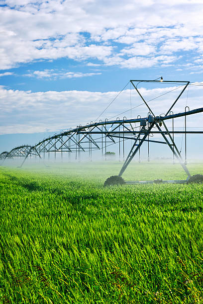 istock Irrigation equipment on farm field 121369896