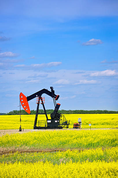 istock Nodding oil pump in prairies 121369897