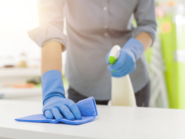 istock Woman cleaning with a spray detergent 1213699593