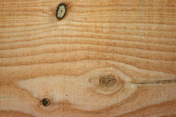 istock Douglas fir tree sawn timber plank 1213699775