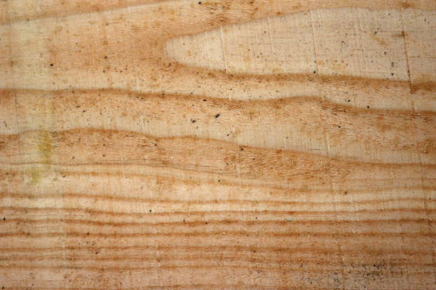 istock Douglas fir tree sawn timber plank 1213699858