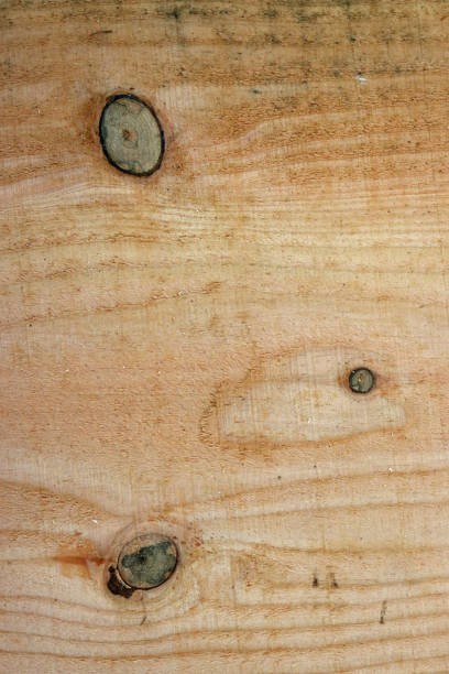 istock Douglas fir tree sawn timber plank 1213699912