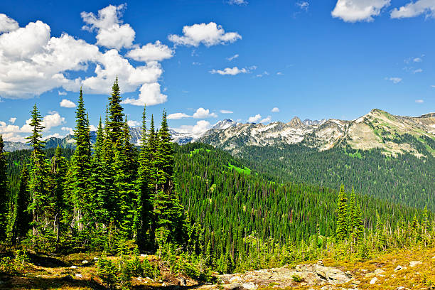 istock Rocky mountain view from Mount Revelstoke 121370306
