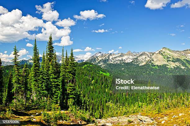 Rocky Mountain View Od Mount Revelstoke - zdjęcia stockowe i więcej obrazów Drzewo - Drzewo, Las, Bez ludzi