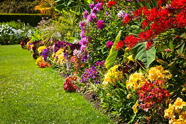 istock Colorful garden flowers 121370382