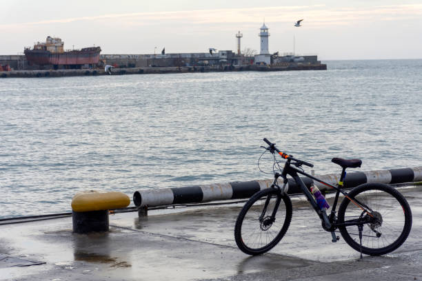 istock mountain bike on the promenade 1213704009