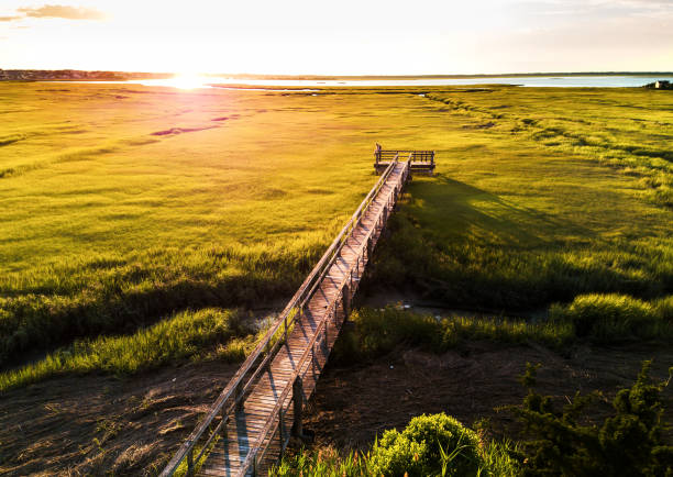 puente de madera sobre un pantano en wildwood new jersey - estero zona húmeda fotografías e imágenes de stock