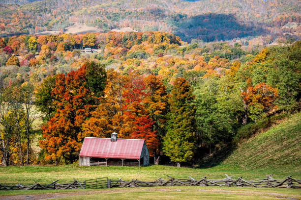 Autumn red colorful trees forest small shed building barn farm on hill high angle view landscape in Monterey and Blue Grass, Highland County, Virginia USA