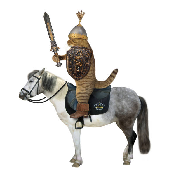 istock Cat with inlaid sword rides horse 1213713338