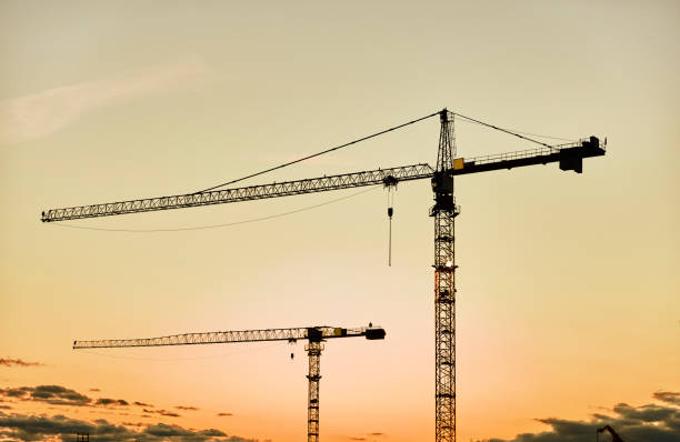 Cranes at sunrise stock photo