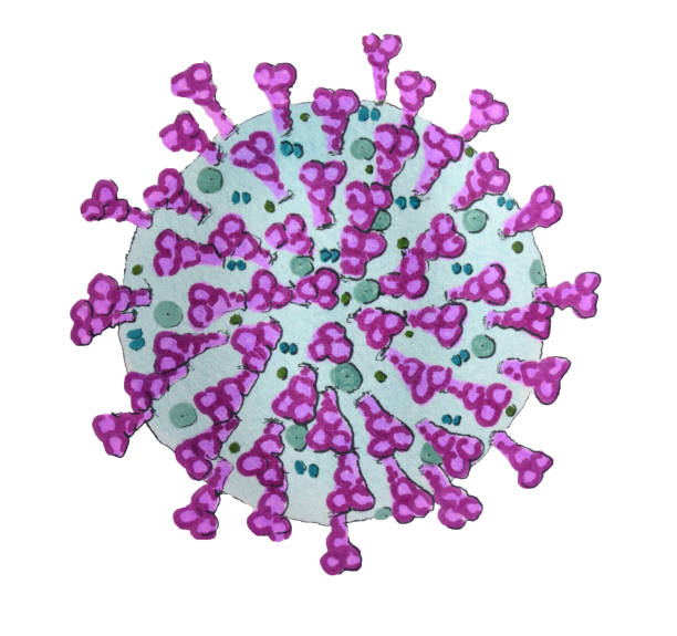 istock Isolated coronavirus bacteria 3D illustration with red shapes on a gray sphere shape in front of white background 1213722629