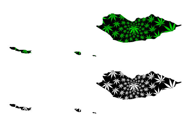 Socotraのストックイラスト素材