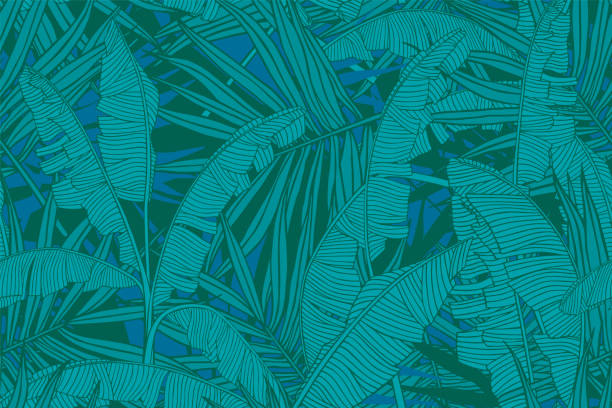 熱帯の葉のパターン。バナナの葉とヤシの木の葉とのシームレスな食感。 
旅行・観光産業、夏セールのバナー。
緑の花のデザイン要素、生地や織物のためのプリント。 - green banana tree banana tree点のイラスト素材／クリップアート素材／マンガ素材／アイコン素材