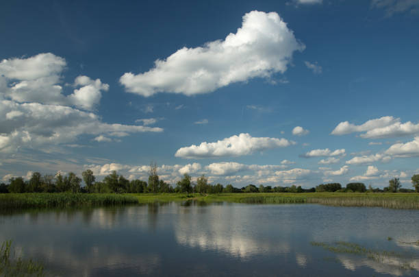 istock Lake with blue sky and clouds 3 1213726892