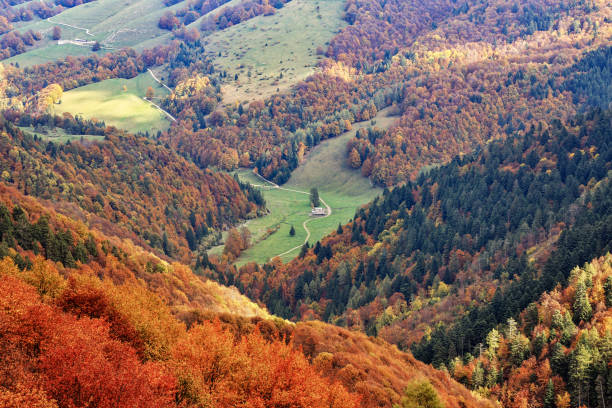 The Autumn view oh Monte Baldo, Italy