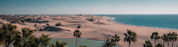 istock Sand dunes beach of Maspalomas Gran Canaria during sunrise 1213728531