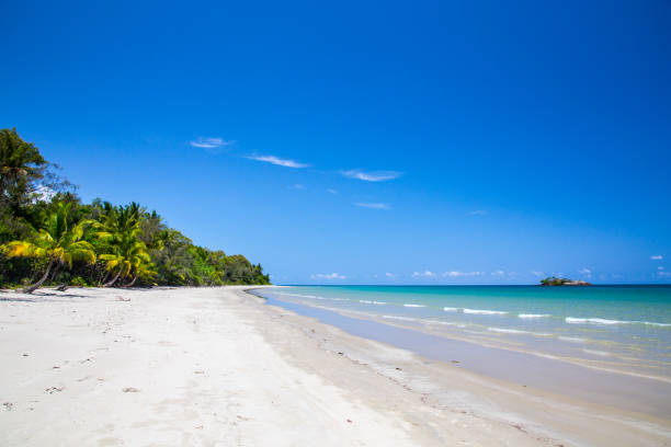 istock Lonely beach in paradise with a palm tree, white sand and turquoise water. 1213728992