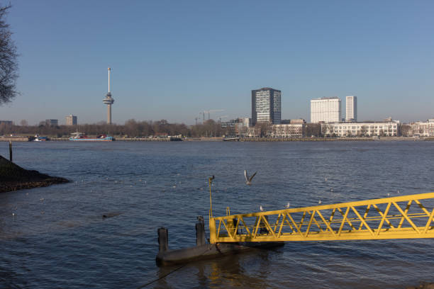 Cityscape of Rotterdam