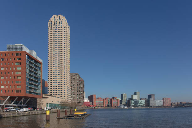 istock Cityscape of Rotterdam 1213732533