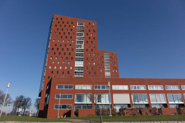 istock Cityscape of Rotterdam 1213732554
