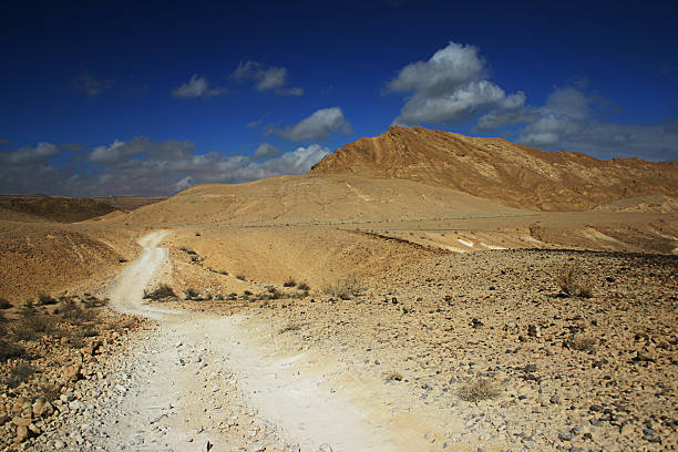 istock Dirt road in the desert 121373344