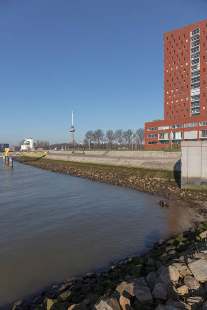 istock Cityscape of Rotterdam 1213733685