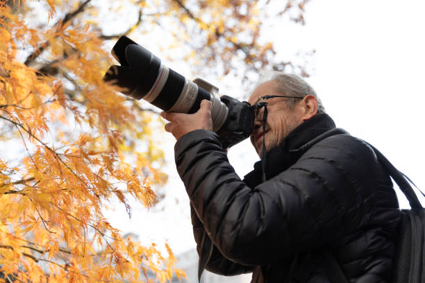 Free Stock Photo of Autumn foliage and photographer with camera ...