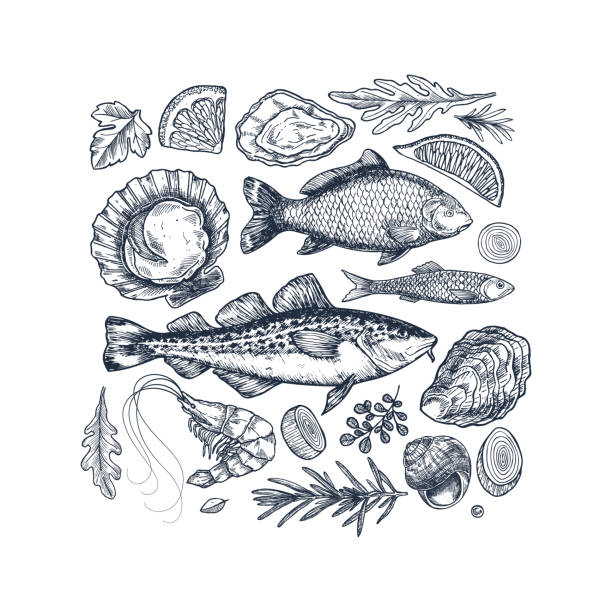 ilustrações de stock, clip art, desenhos animados e ícones de seafood collection. engraved vintage sea restaurant set. fish, prawn, seashell, herbs. - bacalhau